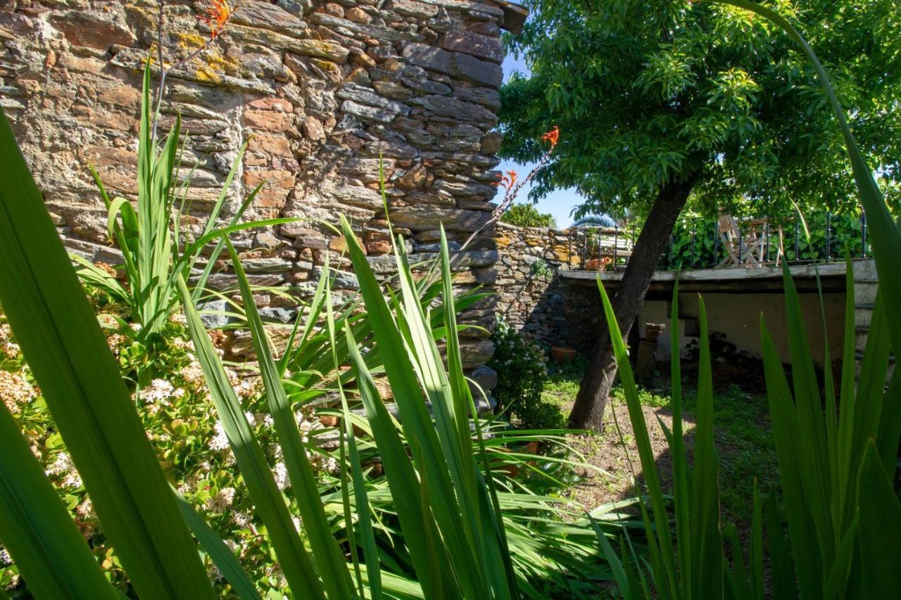 Recanto de São Bento Vila Reguengos de Reguengos de Monsaraz Exterior foto